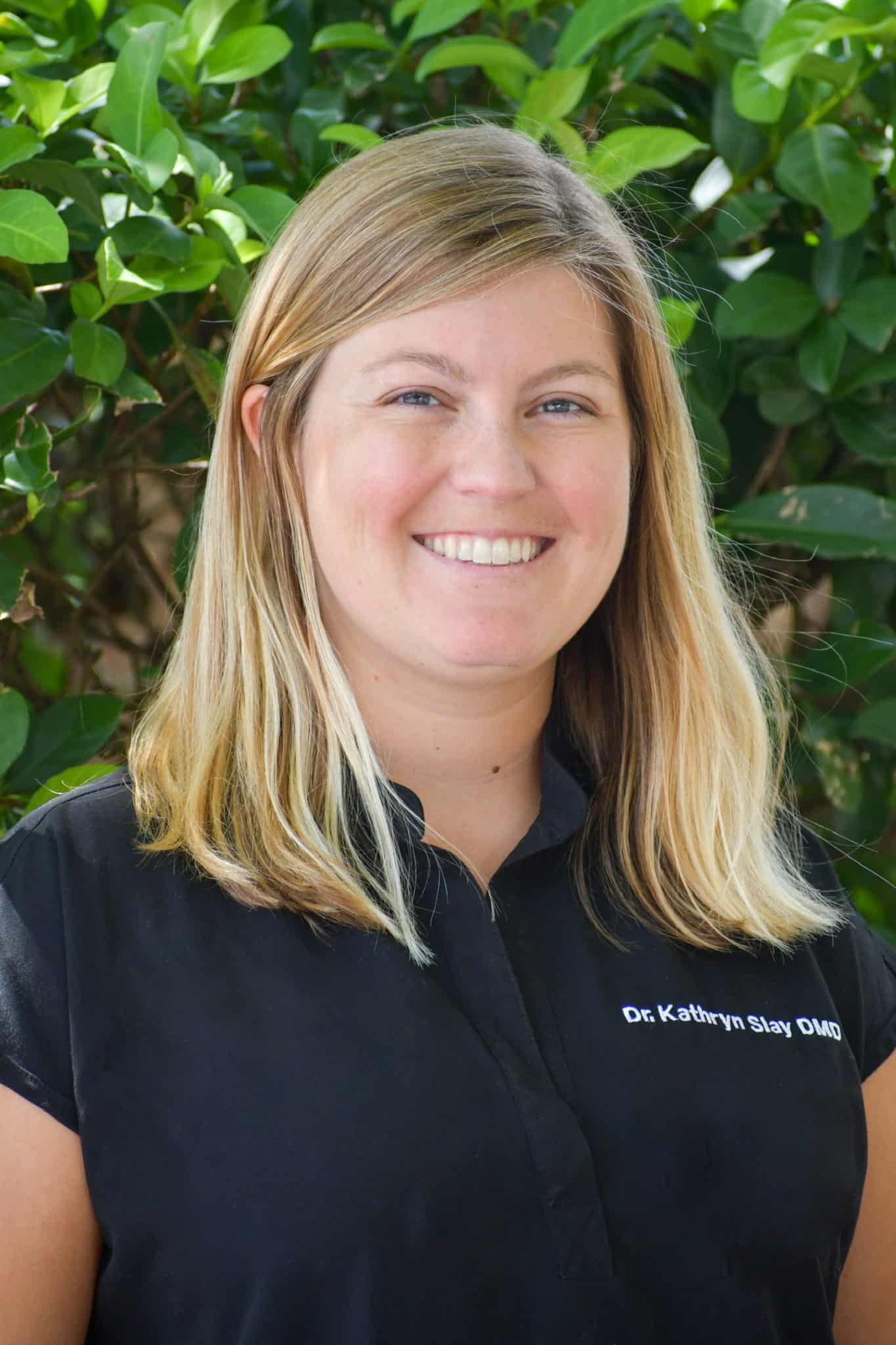 Chris Steeley, DMD Dentist Solomon Family Dentistry